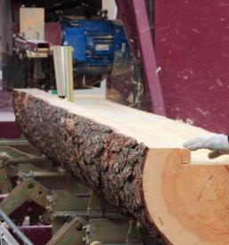 Ugodna prodaja lesa Osrednja Slovenija