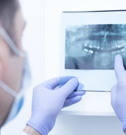 Mladinsko zobozdravstvo Ptuj, okolica, Maribor