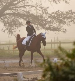 Terapevtsko jahanje Ljubljana, okolica