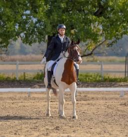 Športno in rekreativno jahanje Zasavje, Slovenija