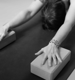 Ugodna joga in vadbe Novo mesto