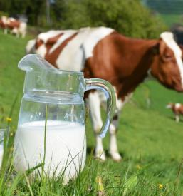 Molzni aparati Slovenija