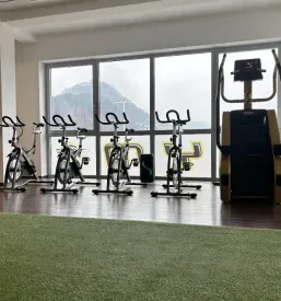 Fitnes programi Koroška