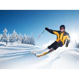 VG SKI SERVIS, Gašper Vrankar s.p.