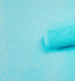 Najboljši slikopleskar Primorska