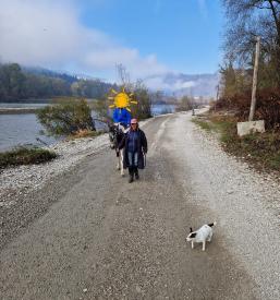 Dobra terapija s konji Ljubljana