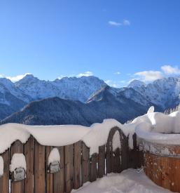 The best holiday house to rent Logarska Dolina