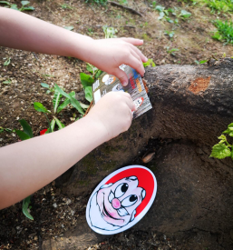 Športne animacije za praznovanja otrok Gorenjska