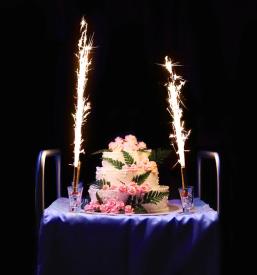 Tortne fontane Slovenija