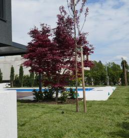 Ugodno urejanje okolice v Ljubljani