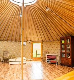 Delavnice postavitev družine Ljubljana, Osrednja Slovenija