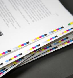 Dobra tiskarna Maribor, okolica