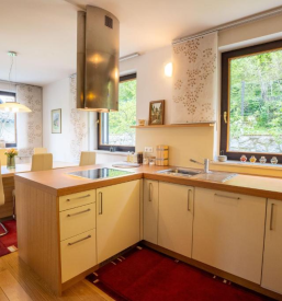 Preiswerte Ferienwohnung Rateče