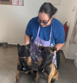 Dober pasji salon Murska Sobota