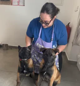 Dober pasji salon Murska Sobota