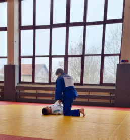 Vpis na vadbo juda Ljubljana