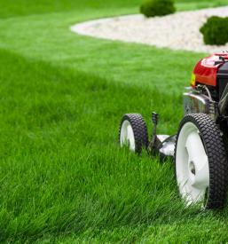 Ugodna košnja trava Jesenice