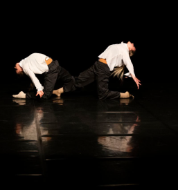 Vpis v plesni centru Ljubljane