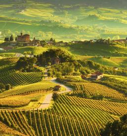 Potovalna agencija Goriška, Slovenija