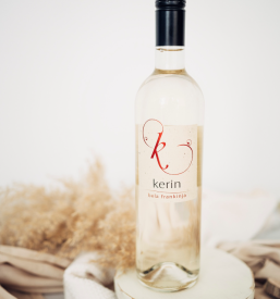 Vinska klet dolenjska