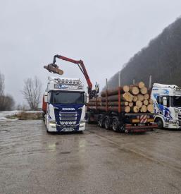 Mednarodni prevozi blaga tujina