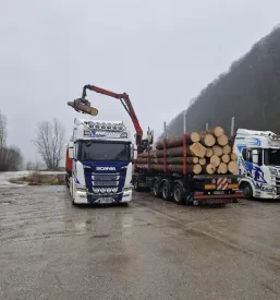 Mednarodni prevozi blaga tujina
