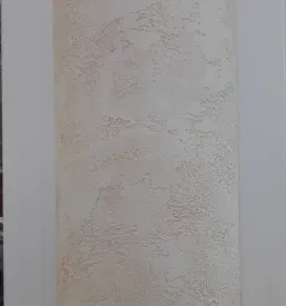 Slikopleskarstvo Goriška