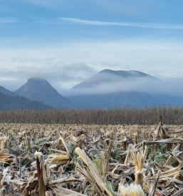 Naravne lepote Občine Tabor