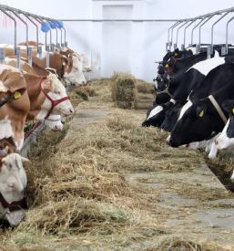 Kmetijska oprema Slovenija