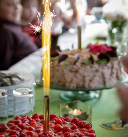Torni ognjemeti Slovenija