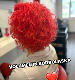 Dober frizer za barvanje las Štajerska