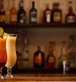 Distributer za prodajo alkoholnih in brezalkoholnih pijač Slovenija
