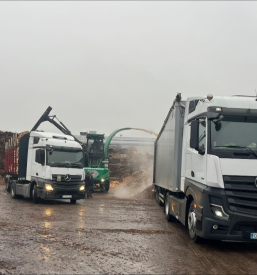 Strokoven prevoz hlodovine po Sloveniji