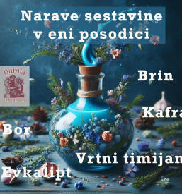 Ponudba naravne kozmetike Ljubljana