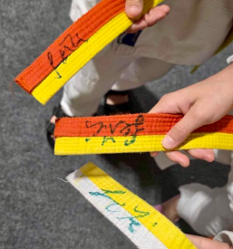 Cenik za vadbo juda Ljubljana