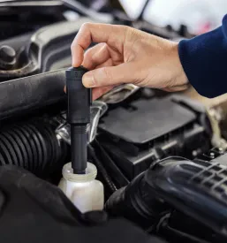 Servis avtomobilov Črnuče