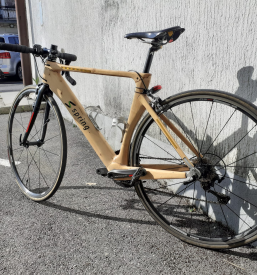 Profesionalen servis koles Logatec