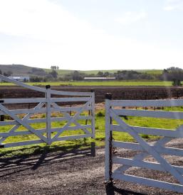 Kmečki turizem Pivka