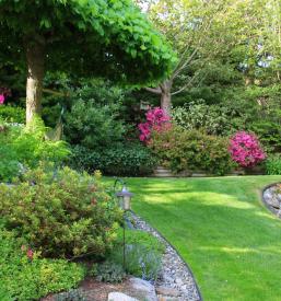 Celoletno urejanje vrtov Osrednja Slovenija