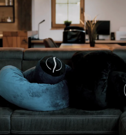 Nosečniška blazina, spletna prodaja, Slovenija