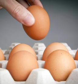 Lokalna pridelava jajc Preddvor