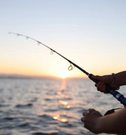 Ugodna morska hrana Piran