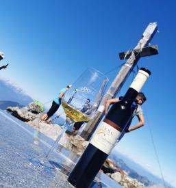 Degustacija domačih vin Dolenjska