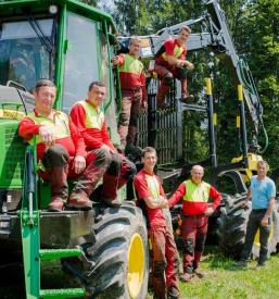 Posek lesa Osrednja slovenija