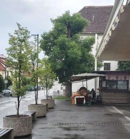 Prodaja izdelkov za zaščito gozdov Slovenija