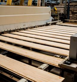 Razrez hlodovine v žagi Preddvor