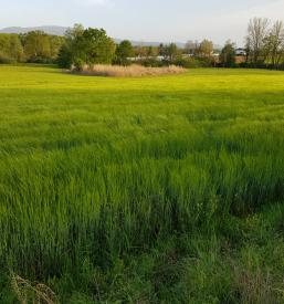 Trgovina z lokalnimi izdelki Šmarješke toplice