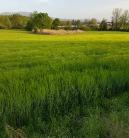 Trgovina z lokalnimi izdelki Šmarješke toplice