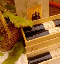 Degustacija vin Dolenjska