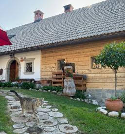 Družinski apartma z zajtrkom Bohinj, okolica